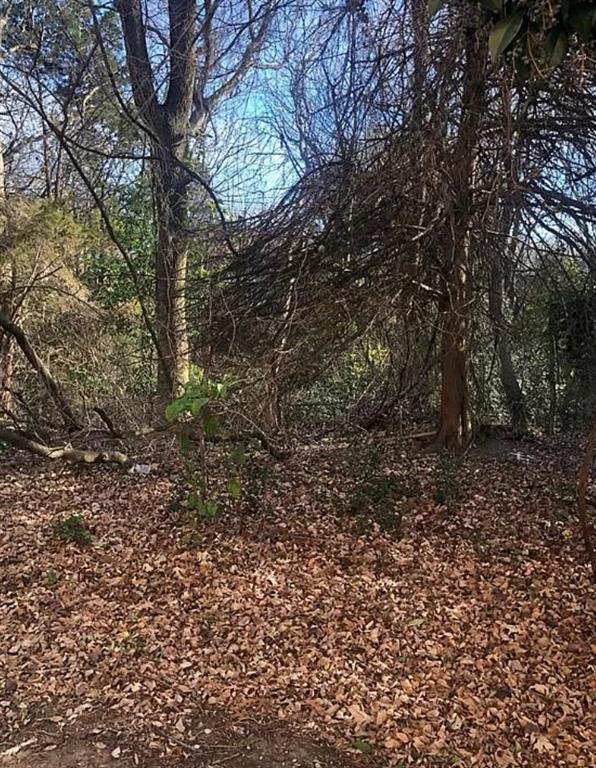 Chandlers Landing #16 & Rep - Land