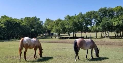 Jw Withers - Residential