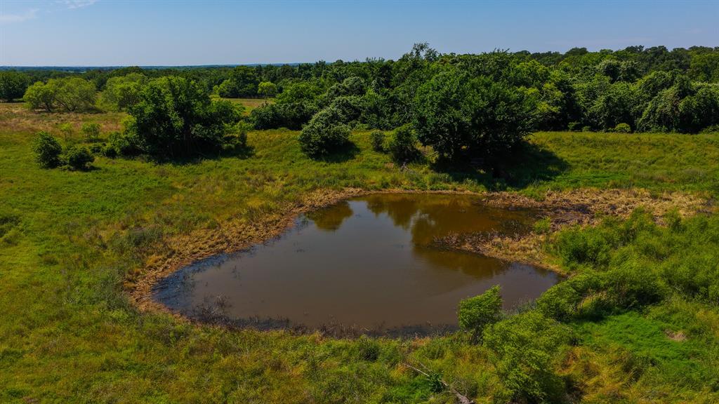 TBD County Road 4360