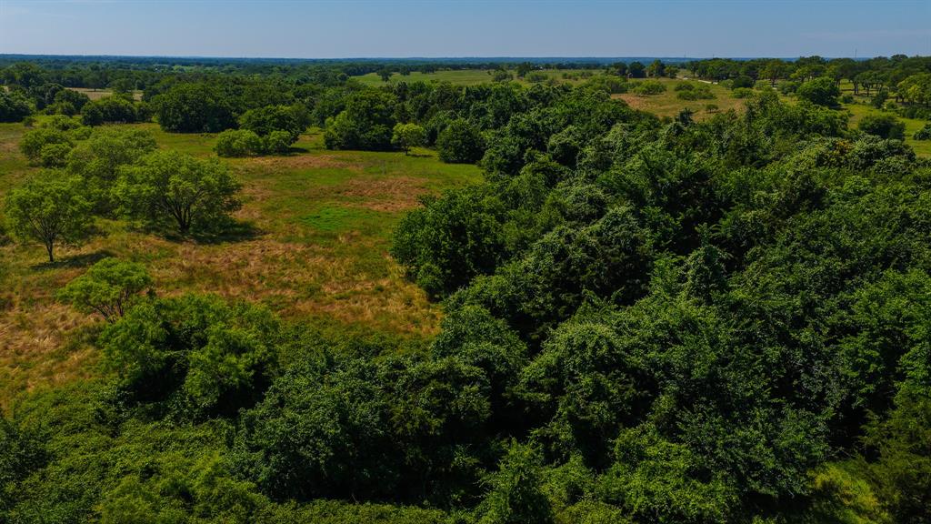 TBD County Road 4360