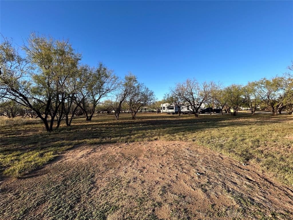 WALT KINGS SUBD SUR 135 DAVID T BRUCE - Residential