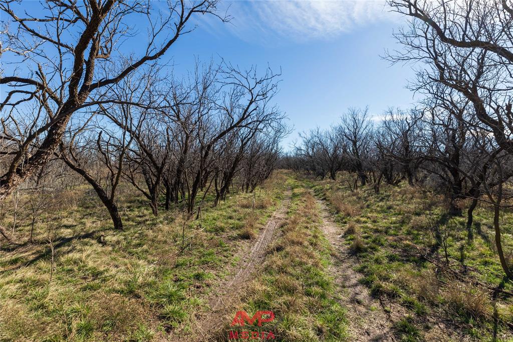 TBD County Road 260