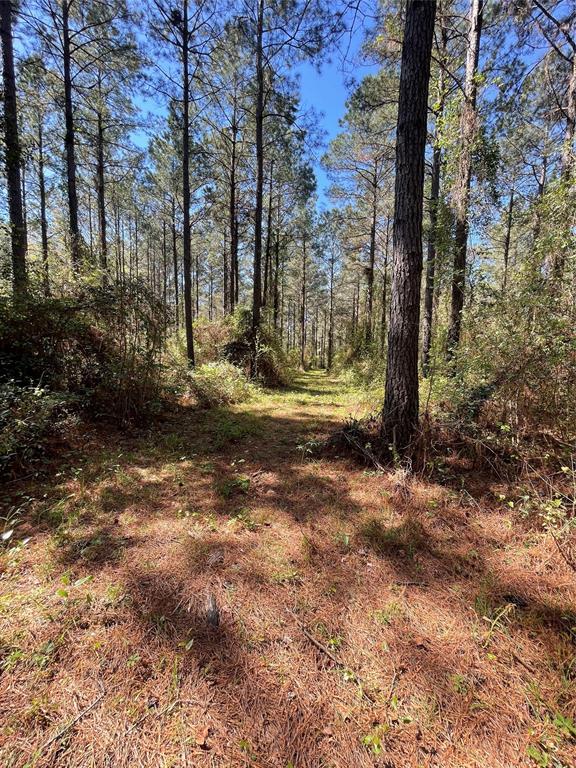 0 Providence Private Lane