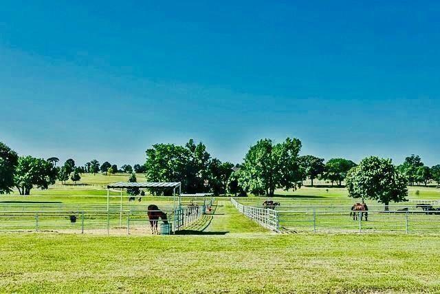 Stallion Lake Ranch - Land