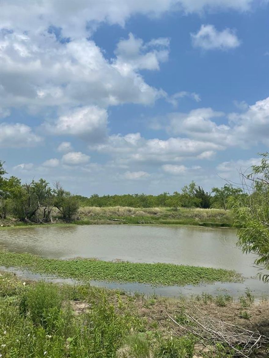 GRANDVIEW SCHOOLS 23 ACRE RANCHETTE WITH TREE LINED POND AND GORGEOUS VIEWS

Perfect Country Estate Site. Grandview Schools!!! Restricted. No Mobiles. Site Built only. 1500 sq ft min. Barndo's OK with Wainscot of Brick or Rock.  There is a JCRWSC Water line but Buyers or Buyers Agent to verify water capacity. Buyer or Buyers Agent to verify Electrical Utilities. This one will go FAST. 
From FM 2258 go North on CR 206 approx one half mile. SOP Cattle on Property. Close Gate IN AND OUT.