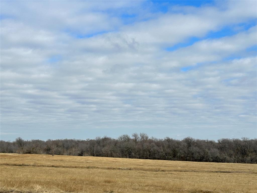 The Overlook at Richland Chambers Lake - Land