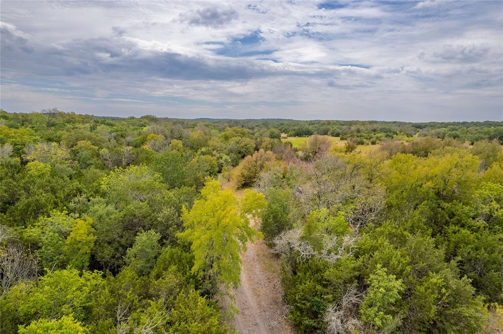 Nancy Burwell Surv Abs #52 - Land