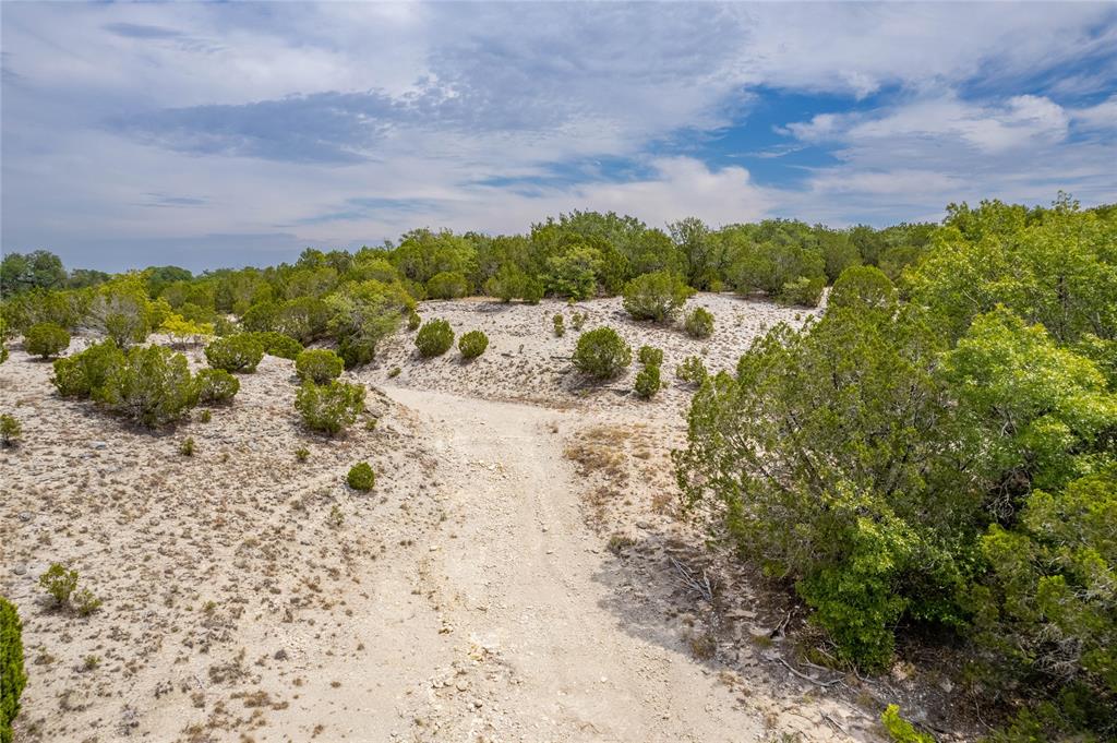 Nancy Burwell Surv Abs #52 - Land