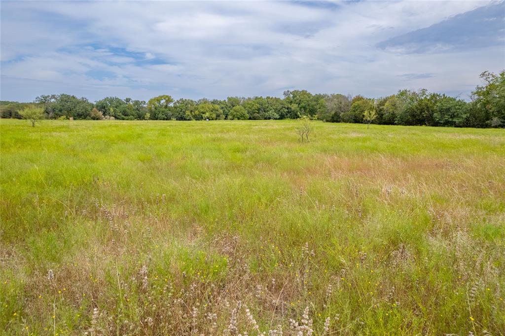 Nancy Burwell Surv Abs #52 - Land