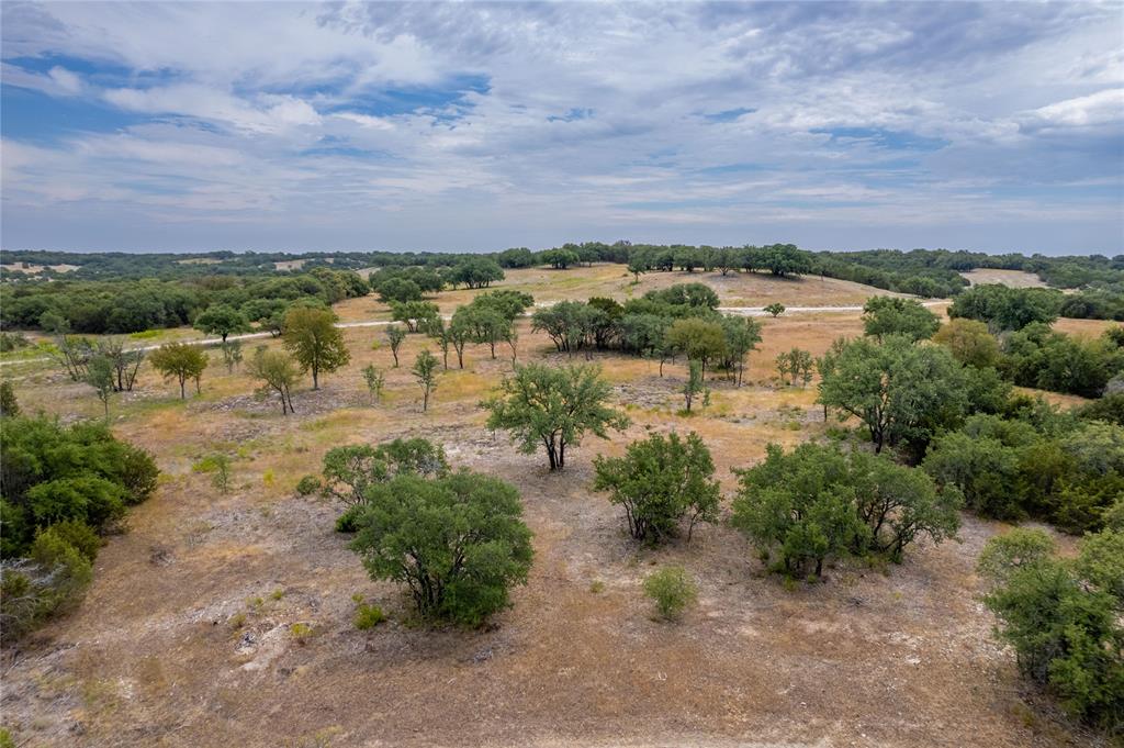 Nancy Burwell Surv Abs #52 - Land