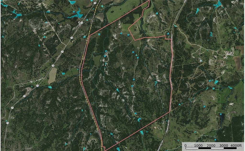 Nancy Burwell Surv Abs #52 - Land