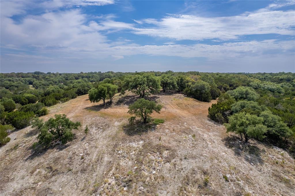 Nancy Burwell Surv Abs #52 - Land