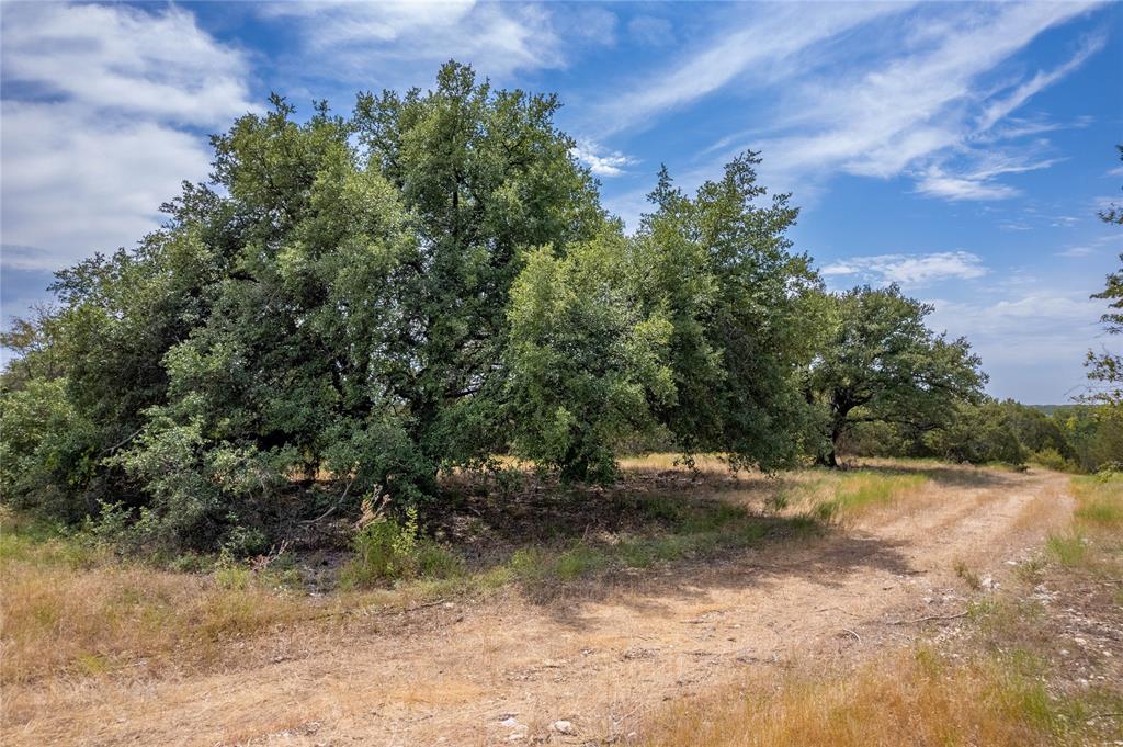 Nancy Burwell Surv Abs #52 - Land