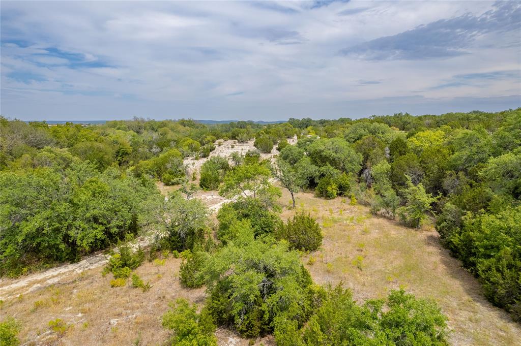 Nancy Burwell Surv Abs #52 - Land