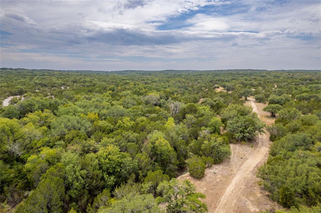 Nancy Burwell Surv Abs #52 - Land