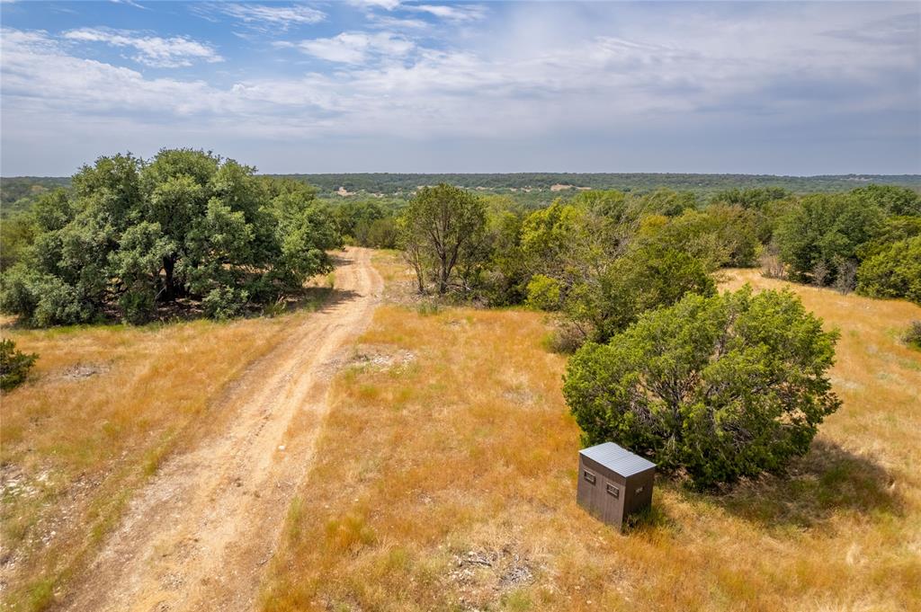 Nancy Burwell Surv Abs #52 - Land