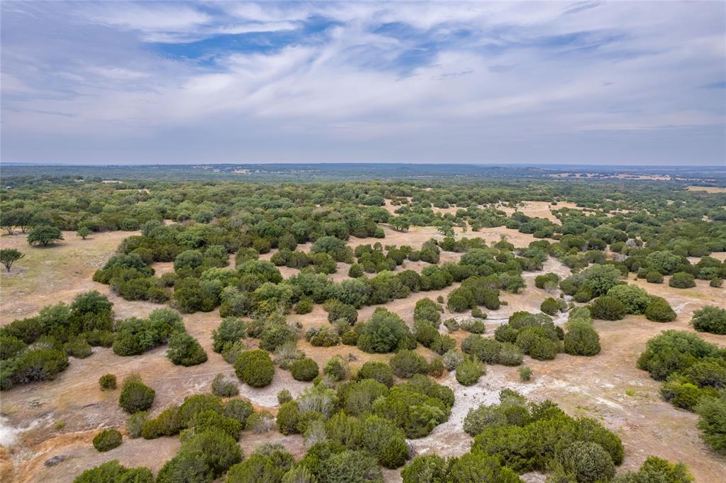 Nancy Burwell Surv Abs #52 - Land