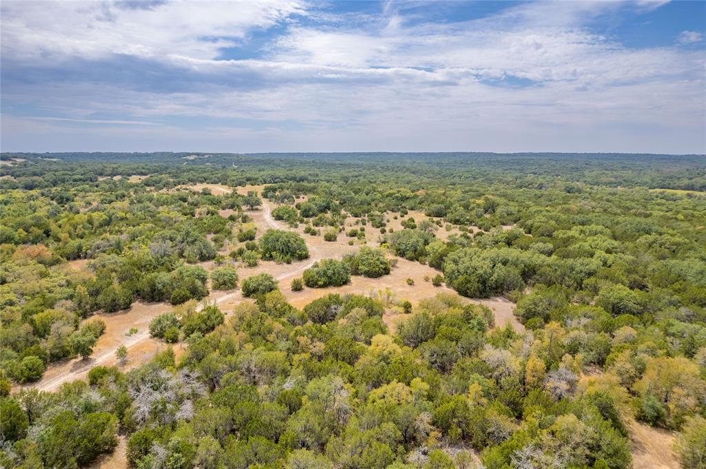 Nancy Burwell Surv Abs #52 - Land