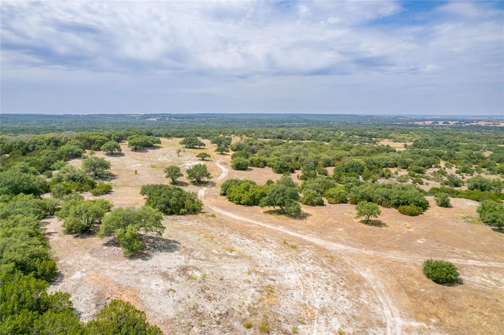 Nancy Burwell Surv Abs #52 - Land