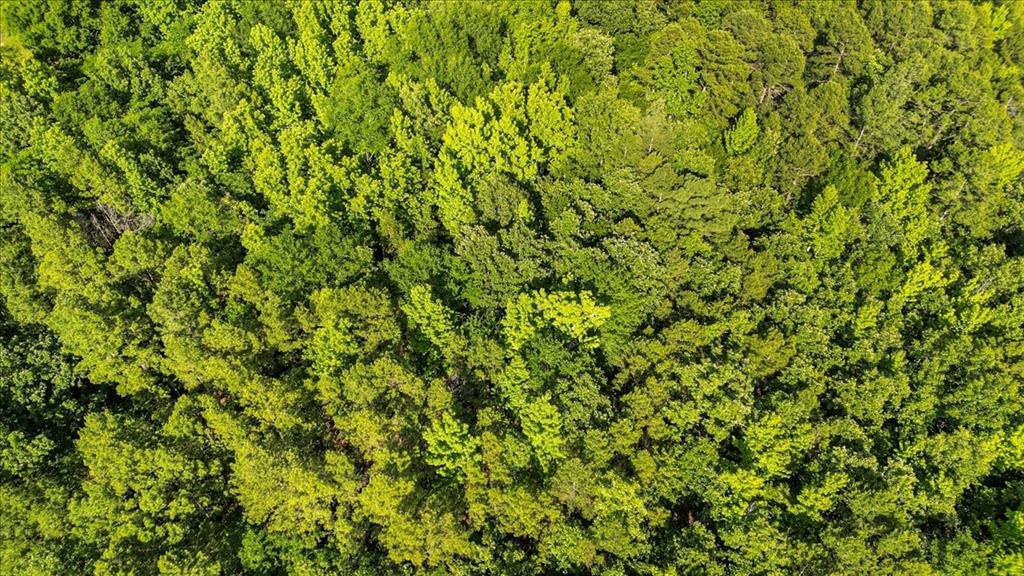 A100006 - A0006 E DEBARD - Land