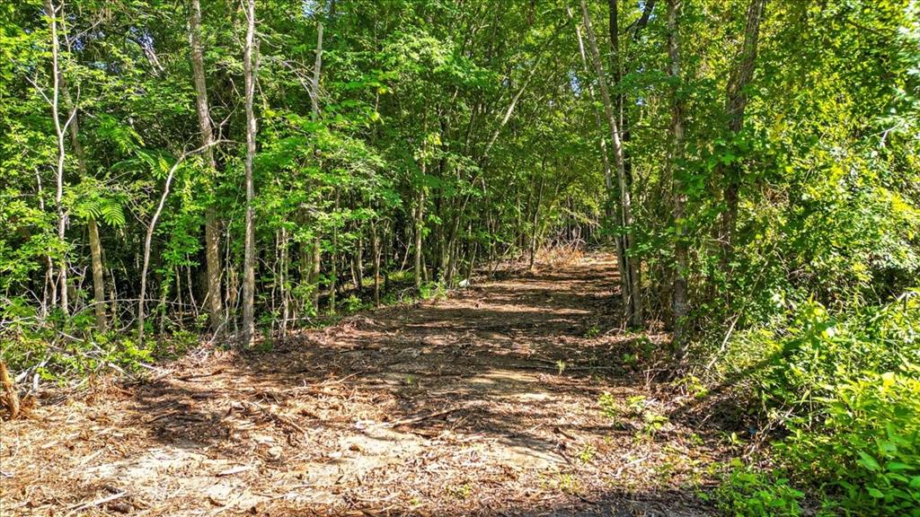 A100006 - A0006 E DEBARD - Land