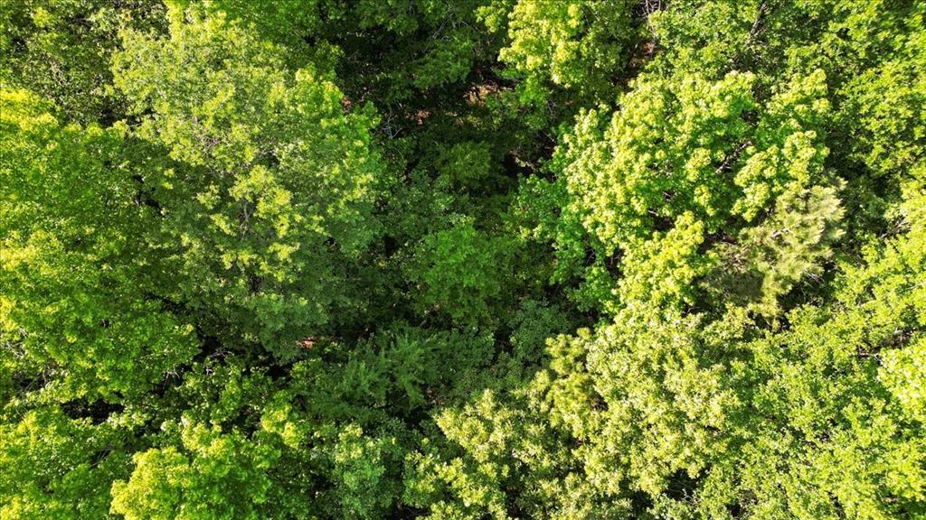 A100006 - A0006 E DEBARD - Land