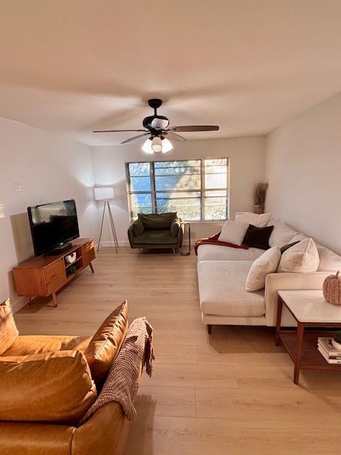 710 Bunny Rabbit Rd
