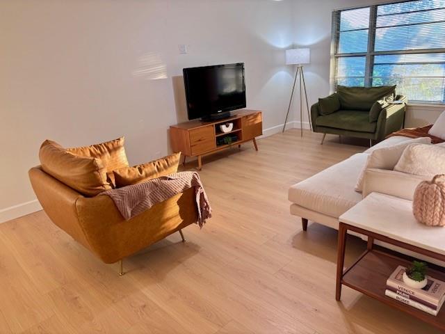 710 Bunny Rabbit Rd