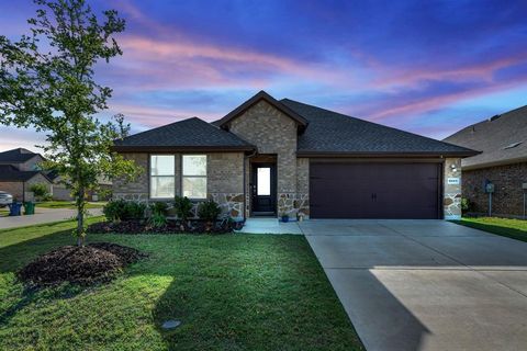 Photo of 3204 Peacock Lane, Celina, TX 75009 (MLS # 21268855)