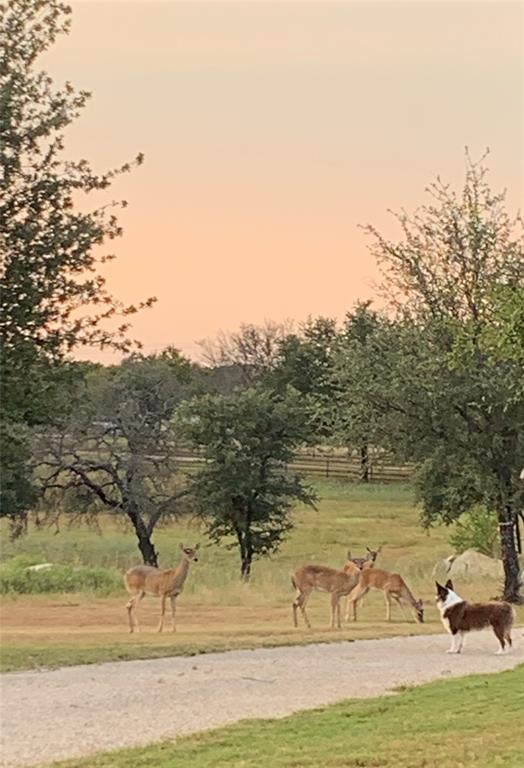 Silverado On the Brazos - Residential