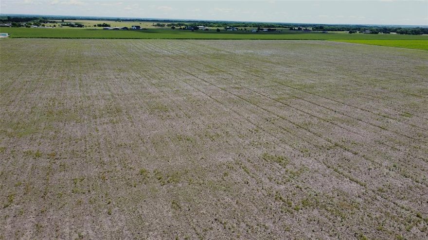 Plenty of road frontage on these 80 acres in Grandview School Distract. Located close to I35. Road frontage on CR 204 and CR 103. Currently cultivated for hay. Has been farmed for over 100 years. No road frontage on FM 916 but very close. Must see to appreciate this clean farmland. Could make a great site for a development. Buyer should verify electrical and water info needed for a development. Seller will not pay roll back taxes. Gas well site is not located on this property. Markers are approximate for a visual idea of land size Seller will subdivide into (5) 5-acre parcels (4) 10-acre parcels (1) 15-acre parcel or if buyer wants larger parcel, he will also do that. Water well and onsite septic will have to be installed. Restrictions are No Manufactured Home, Pig Farms. Junkyards or junk vehicles Minimum Sq Ft 2000 site built, Minimum 80% Masonry on exterior, Barndominum are allowed, will not split property smaller then 5-acre tracts Maximum one home per 5-acre tract. Seller will not pay any roll back taxes.