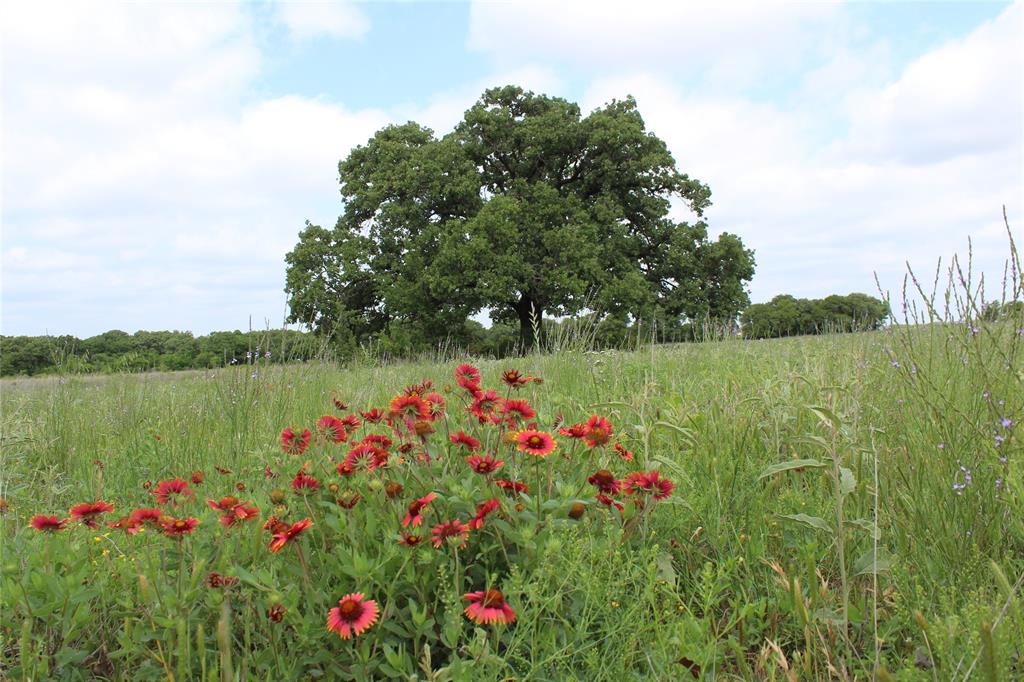 TBD Tract 2 County Road 109