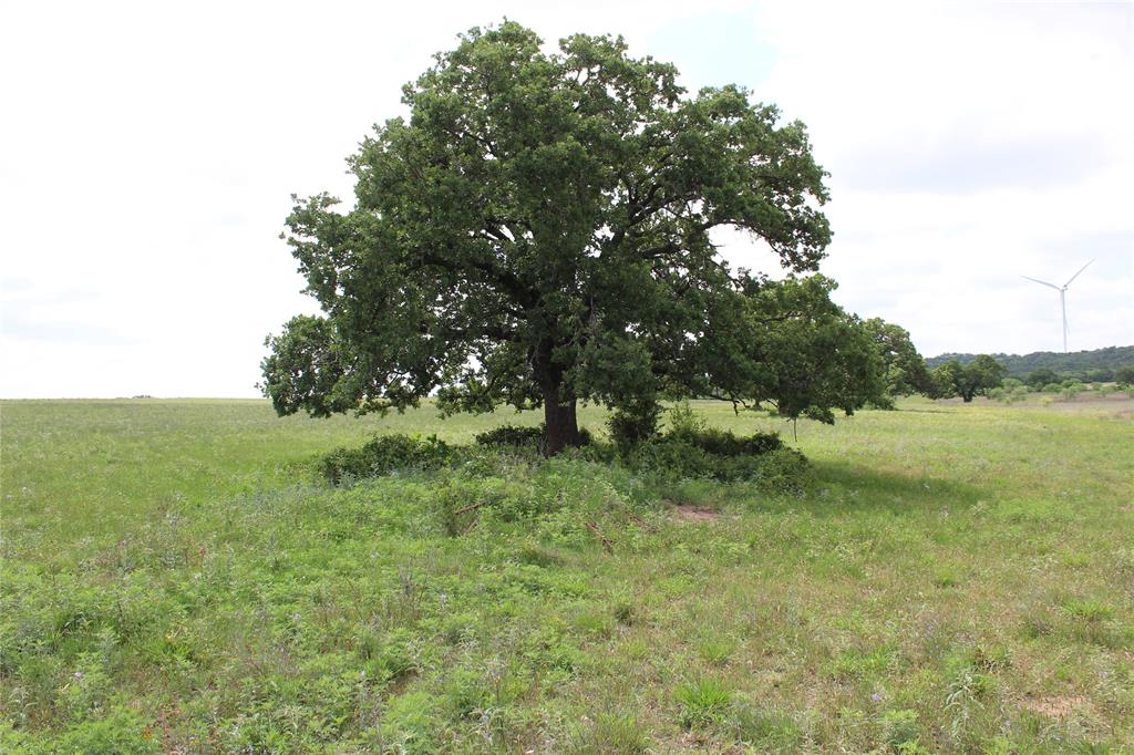 TBD Tract 2 County Road 109