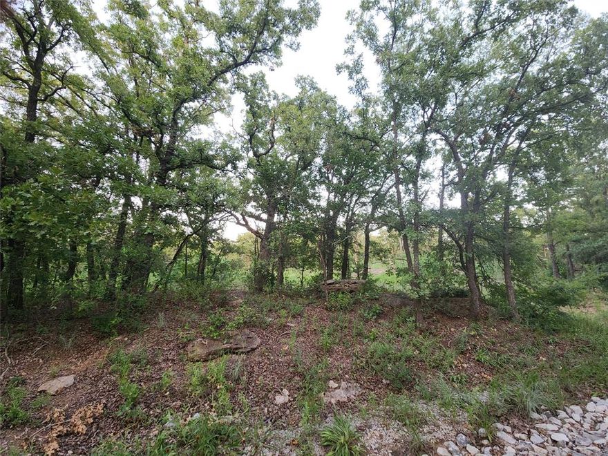 2.01 acres with no restrictions and road frontage! This land has an abundance of trees and ready for you to build your dream home or barndominium! Conveniently located about an hour from DFW Metroplex.