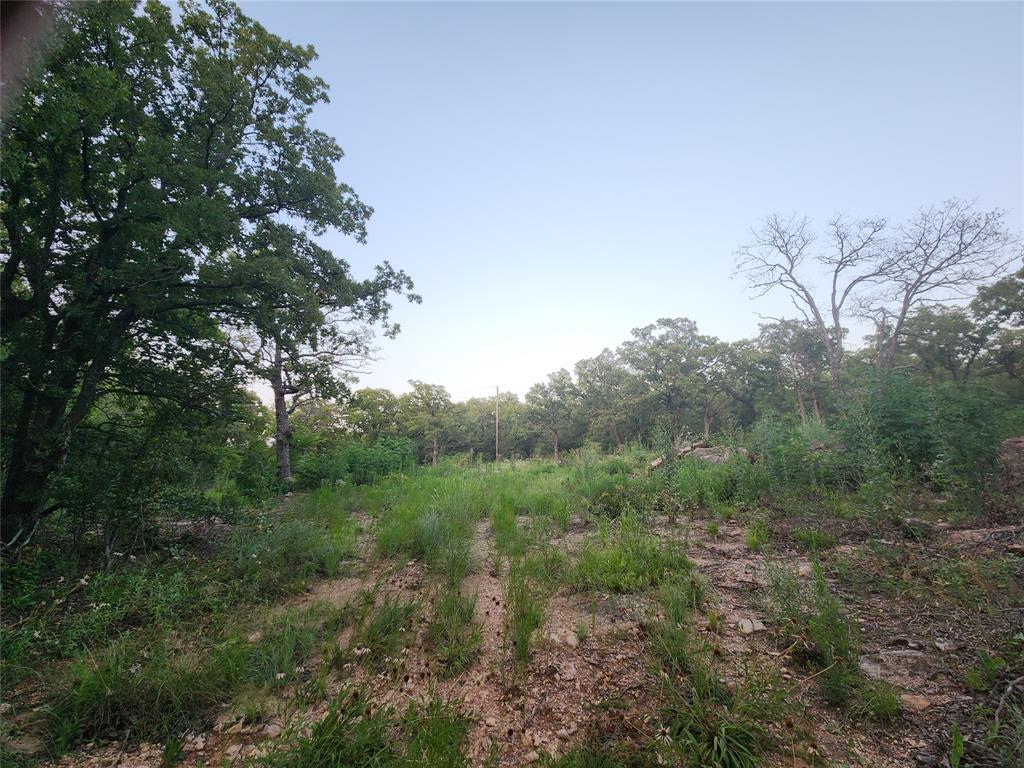 491 County Road 1770