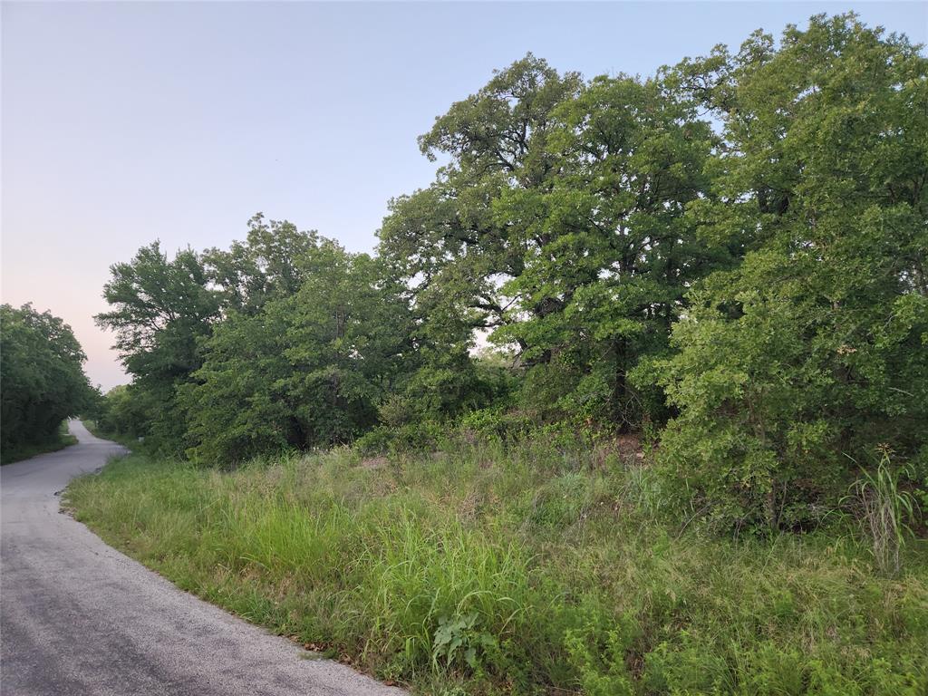 491 County Road 1770