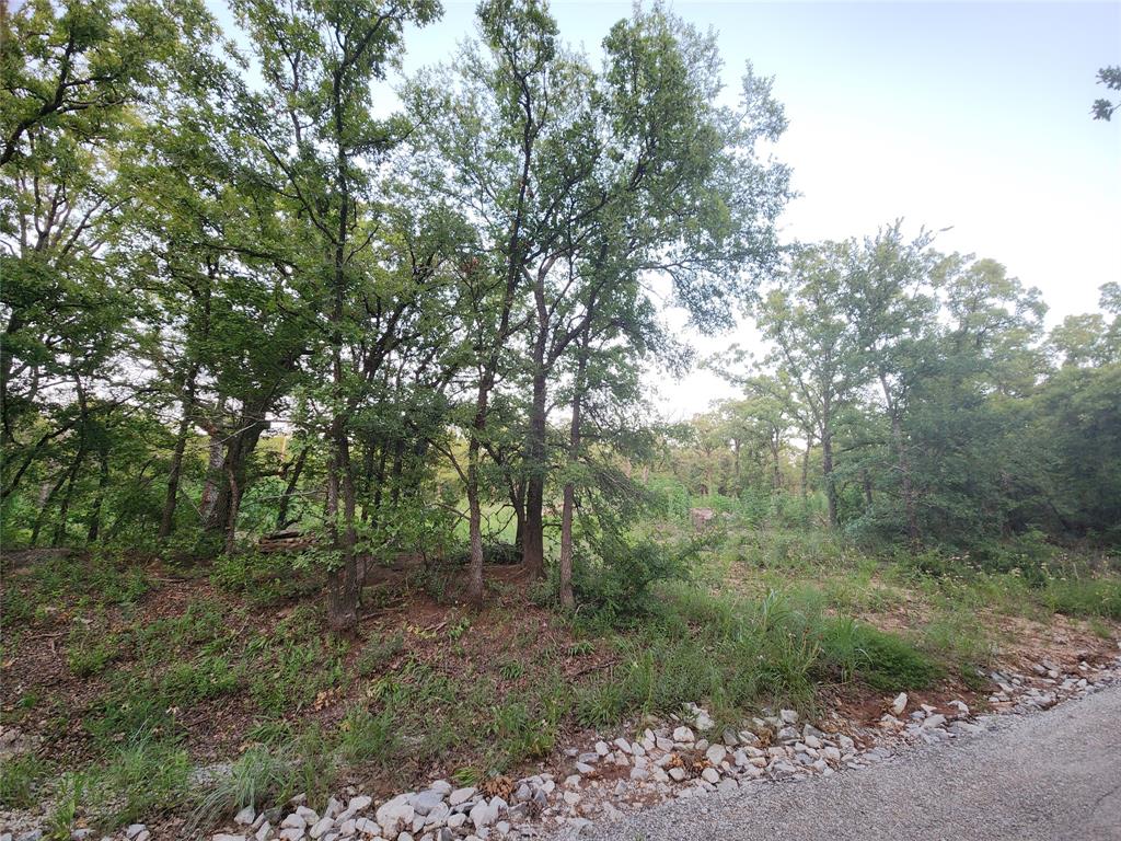 491 County Road 1770