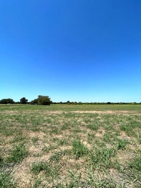 TBD County Road 1240 Savoy TX 75479