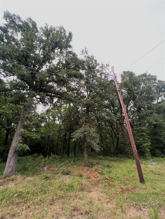 Photo 1 of 1 — 117 Inca Trail, Mabank, TX 75156