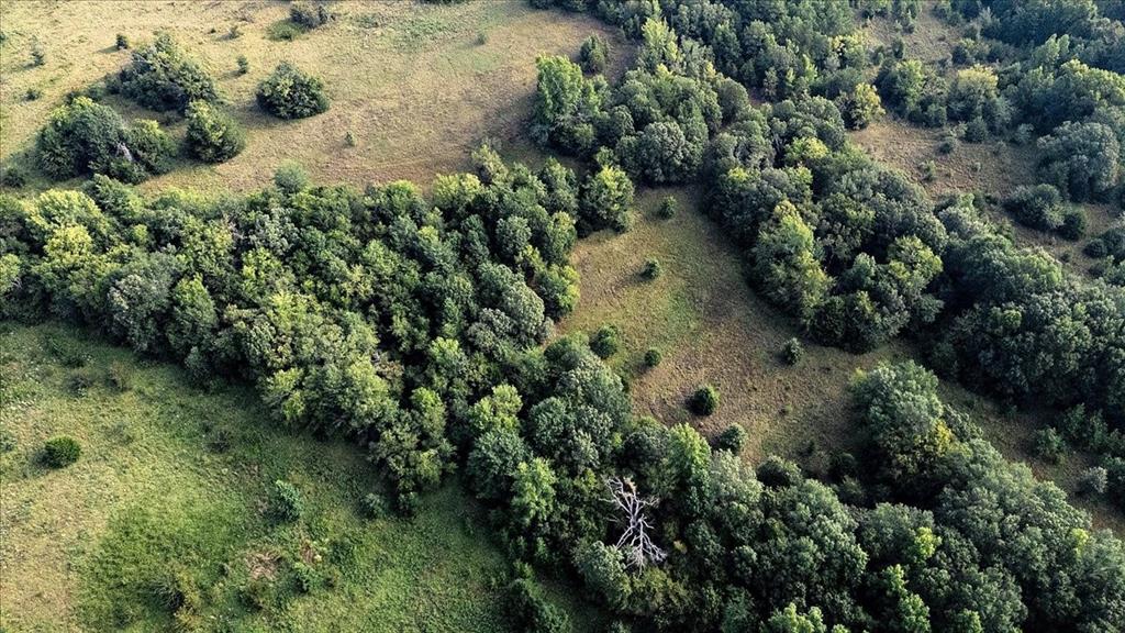 Pedro Del Rio League Abs #19 - Farm