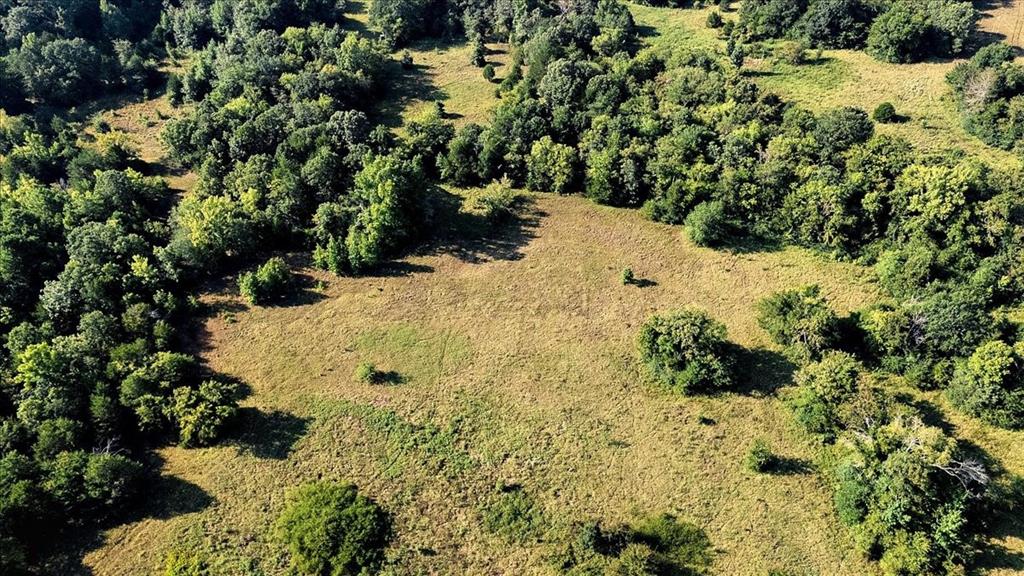 Pedro Del Rio League Abs #19 - Farm