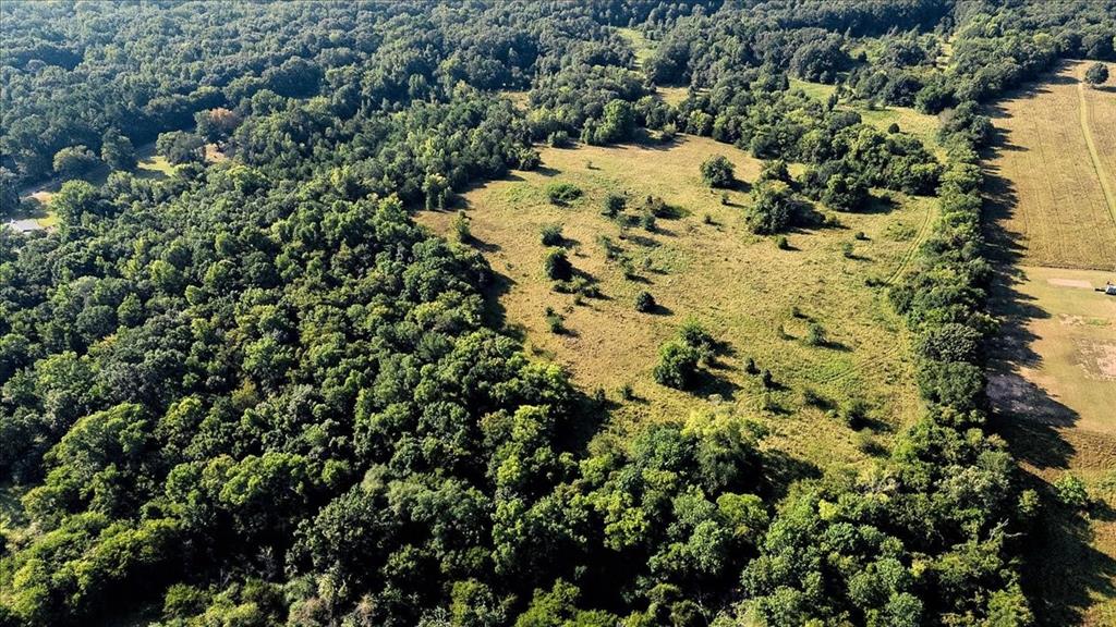 Pedro Del Rio League Abs #19 - Farm