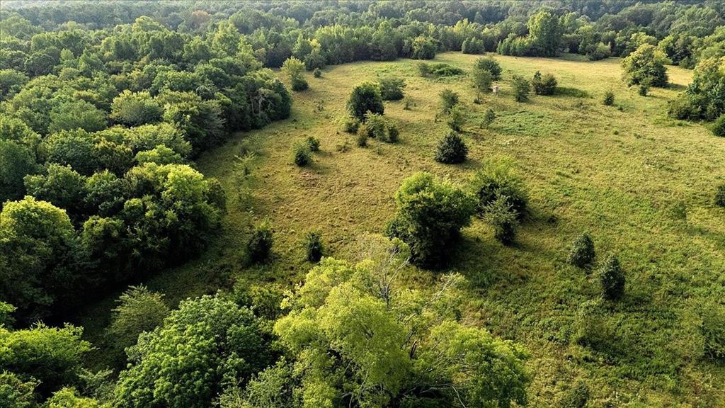 Pedro Del Rio League Abs #19 - Farm