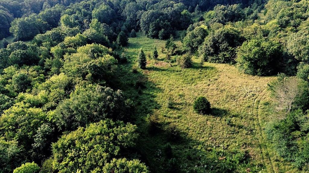 Pedro Del Rio League Abs #19 - Farm