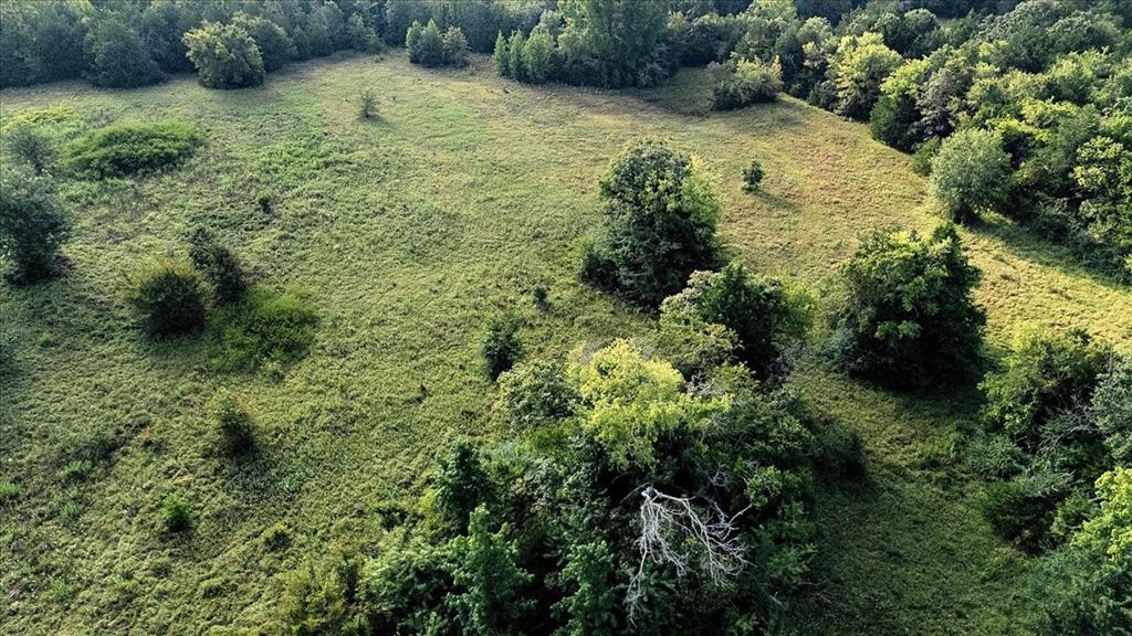 Pedro Del Rio League Abs #19 - Farm