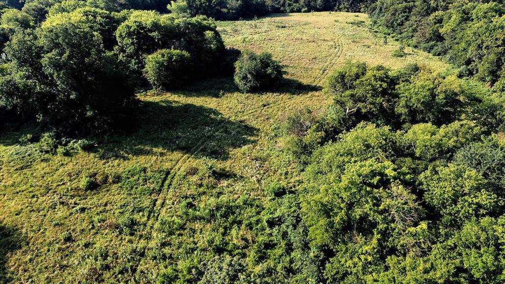 Pedro Del Rio League Abs #19 - Farm