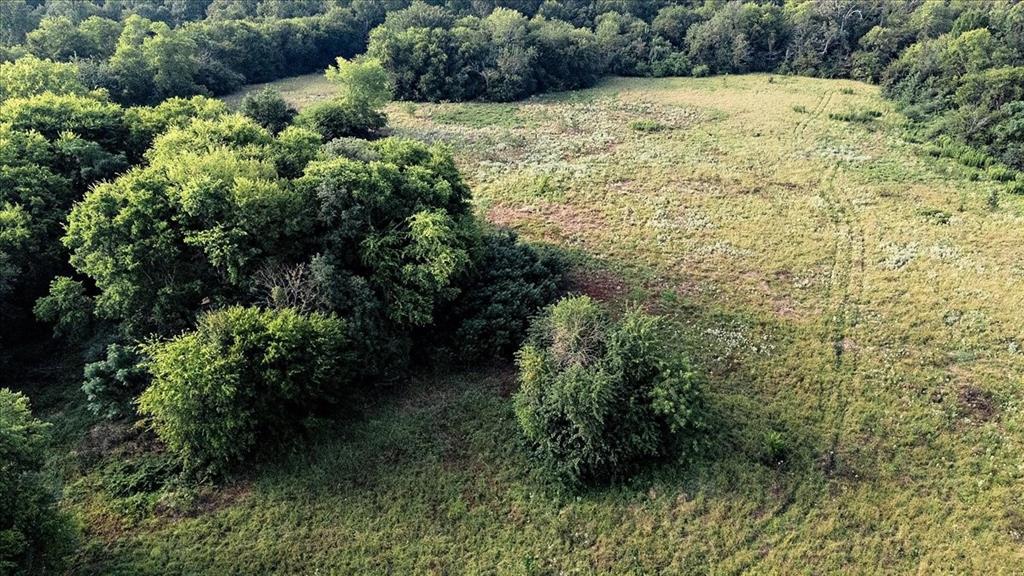 Pedro Del Rio League Abs #19 - Farm