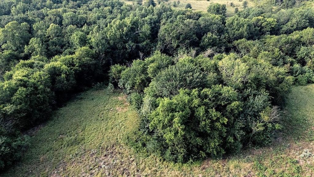 Pedro Del Rio League Abs #19 - Farm