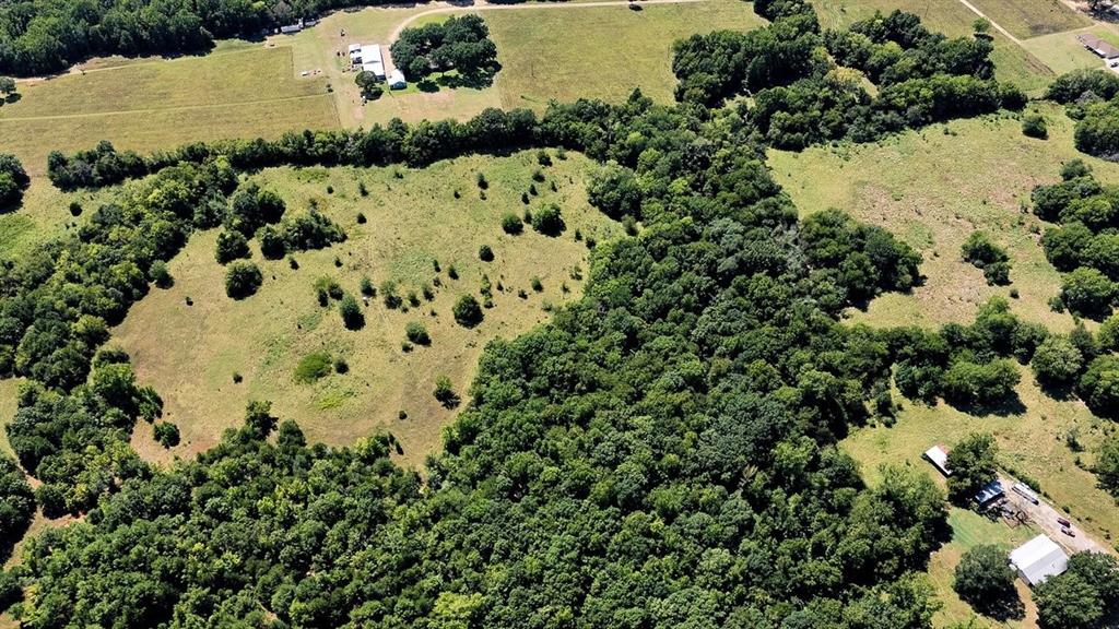 Pedro Del Rio League Abs #19 - Farm