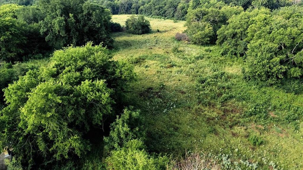 Pedro Del Rio League Abs #19 - Farm